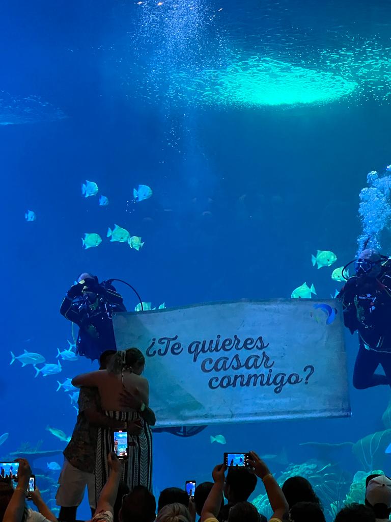 Pedida de Mano en Gran Acuario Mazatlán