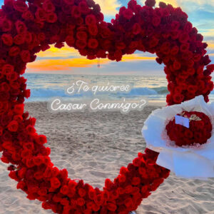 PROPUESTA DE MATRIMONIO/NOVIAZGO