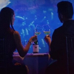 Gran Acuario de Mazatlán / Cena romántica