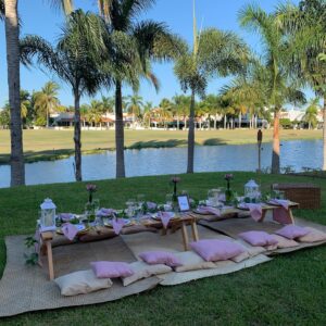 ¡¡¡PICNIC ROMÁNTICO!!!